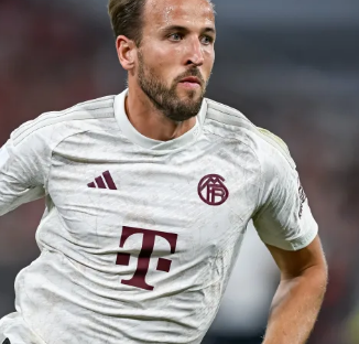 但他在稳定 但他在稳定