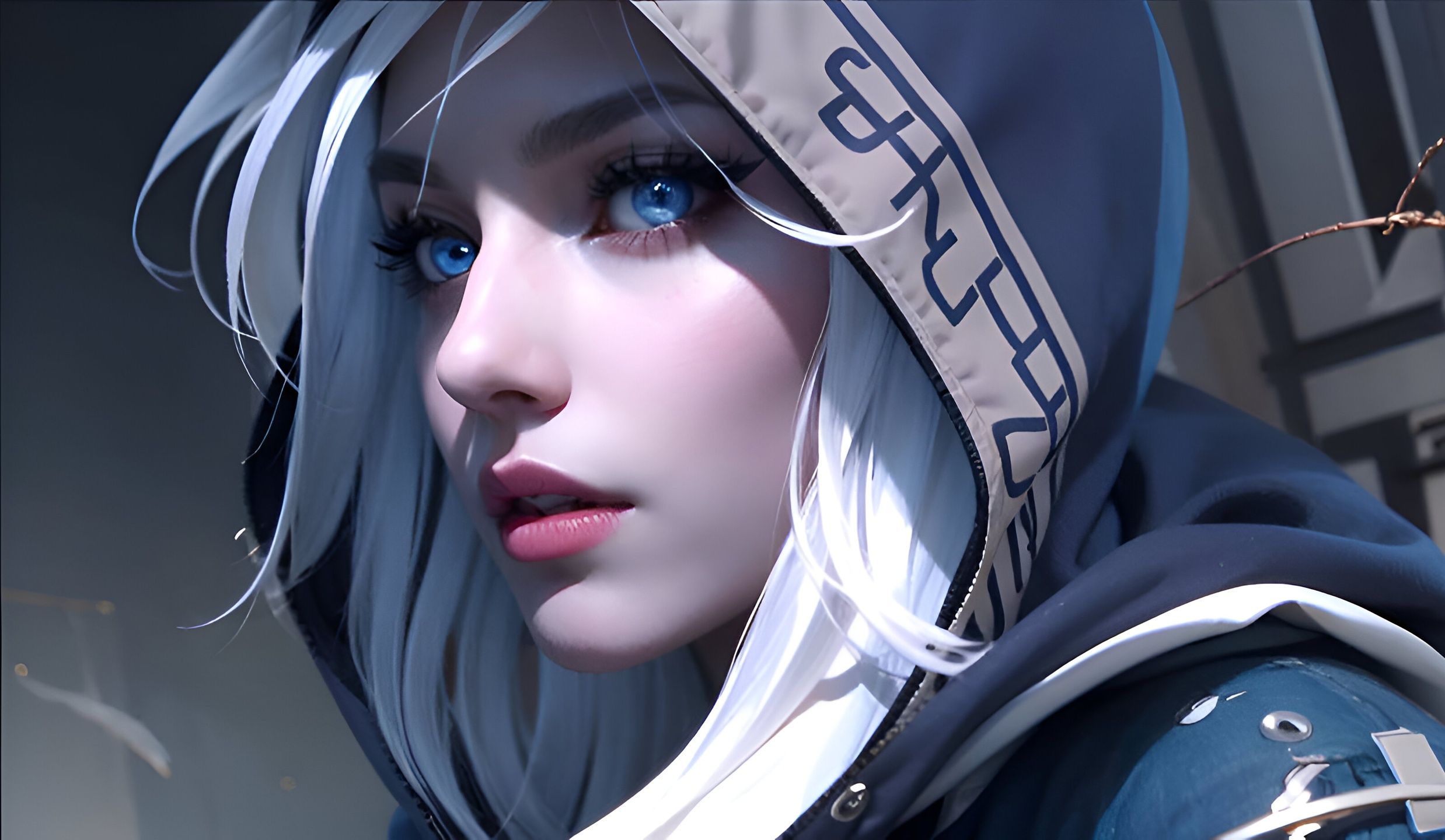 力与身体对 力与身体对