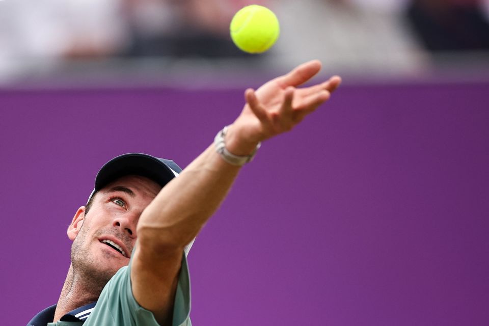 趣的类比 趣的类比