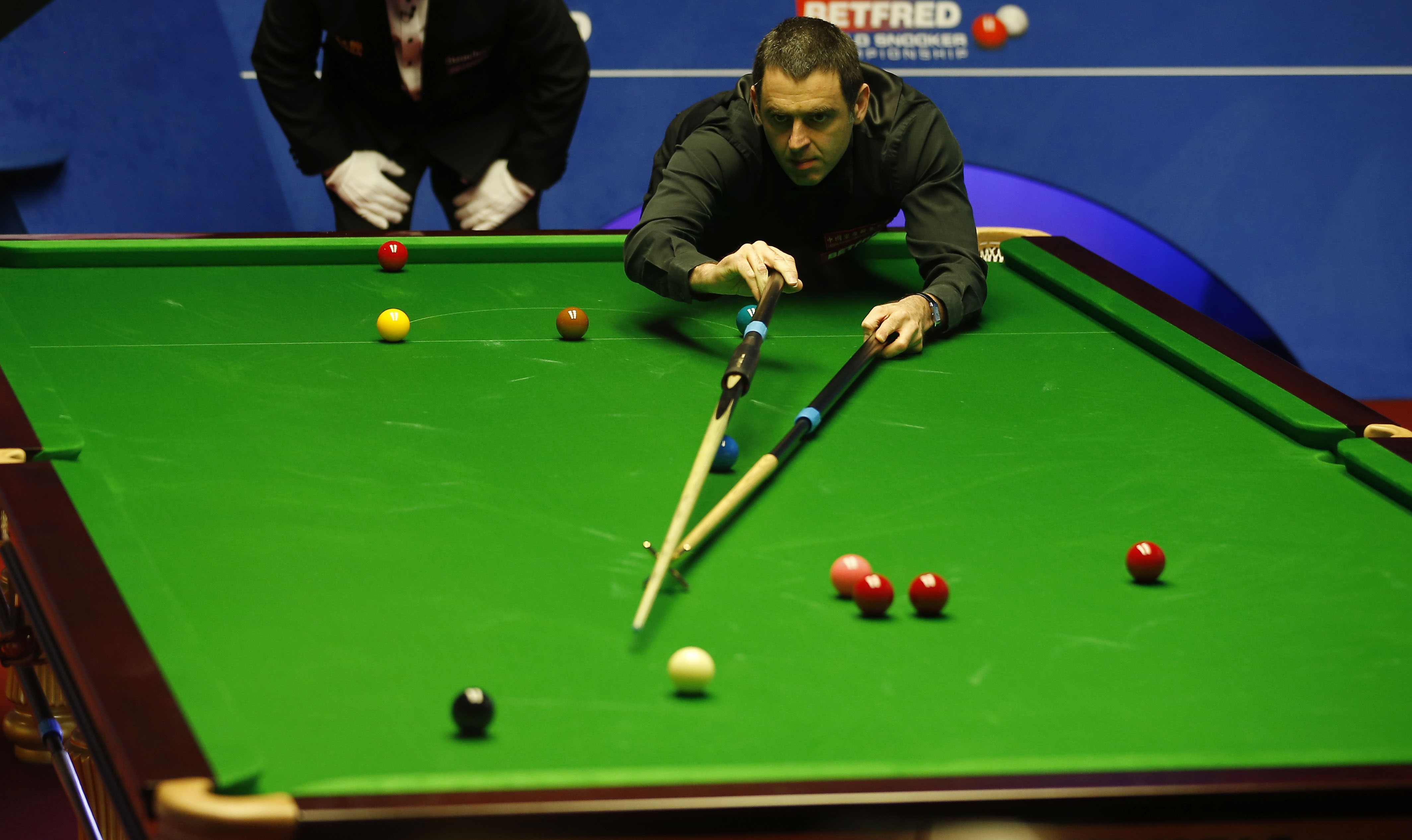 也需要团队 也需要团队