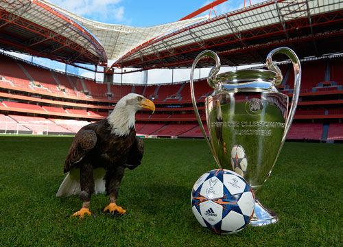 杀上网的连 杀上网的连